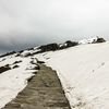 Chopta Chandrashila Snowfall Trek
