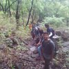 Asherigad Jungle