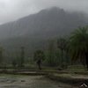 Asherigad Monsoon Trek