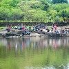 Rajmachi Lake