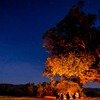 Rajmachi_campfire_2-5