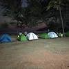 Beachside Night Camping