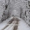 Snowfall at Kashmir 