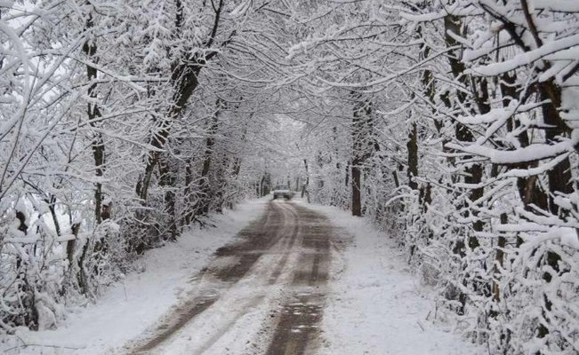 Snowfall at Kashmir 
