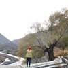 Spiti Valley Sightseeing