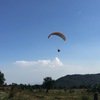Pragliding Image of Mcleodgani