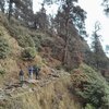 Triund Trek Route