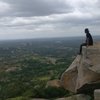 Utteri Betta Trek