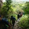 Utteri Betta Trek