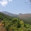 Tadiandamol Trek