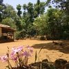 Tadianmol Trek