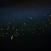 Bhandardara Fireflies 