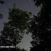 Rajmachi Fireflies Trek