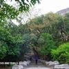 Rajmachi Step