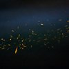 Fireflies at Peth