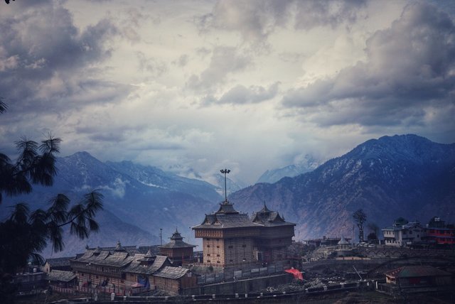Trekking Himalayas
