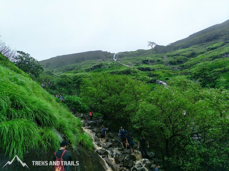 Visapur Trekking