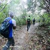 Andharban Forest