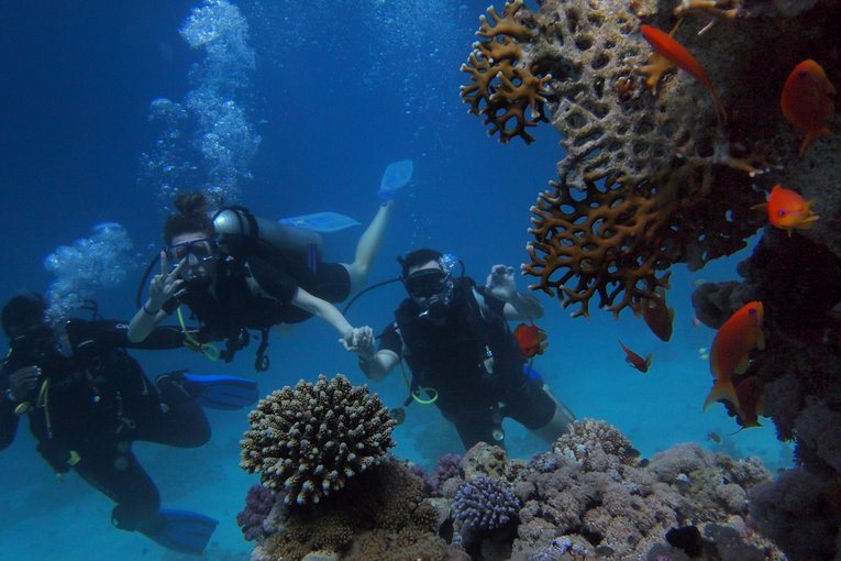 Underwater Photos in Tarkali 