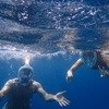 Tarkali Underwater 