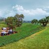 Camping Spot at Karjat