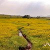 Kaas Plateau Image