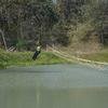 Dudhsagar Dandeli Adventure