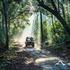 Jim Corbett National Park Safari