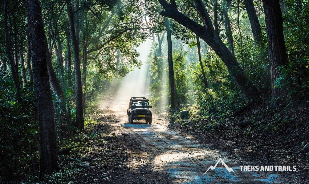 Jim Corbett National Park Safari