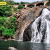 Dudhsagar Falls to Dandeli