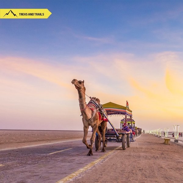 Camel Ride at Kutch