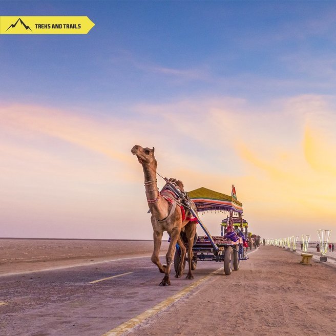 Camel Ride at Kutch