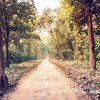 Nagzira Wildlife Sanctuary