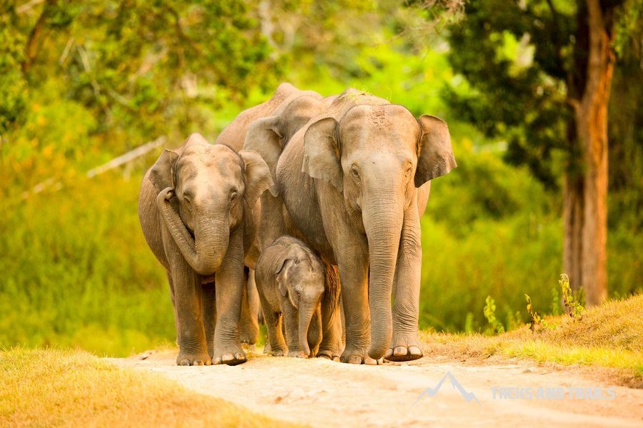 Photography at National Park 