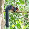 Satpura National Park