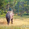 Satpura Tiger  Reserve