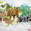 Tour to Nagarhole National Park