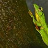Amboli Photo