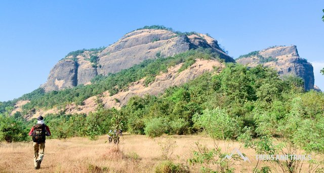 Trek Near Me