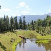 Kedarkantha Adventure