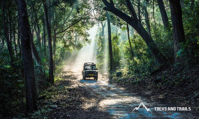 Jim Corbett National Park