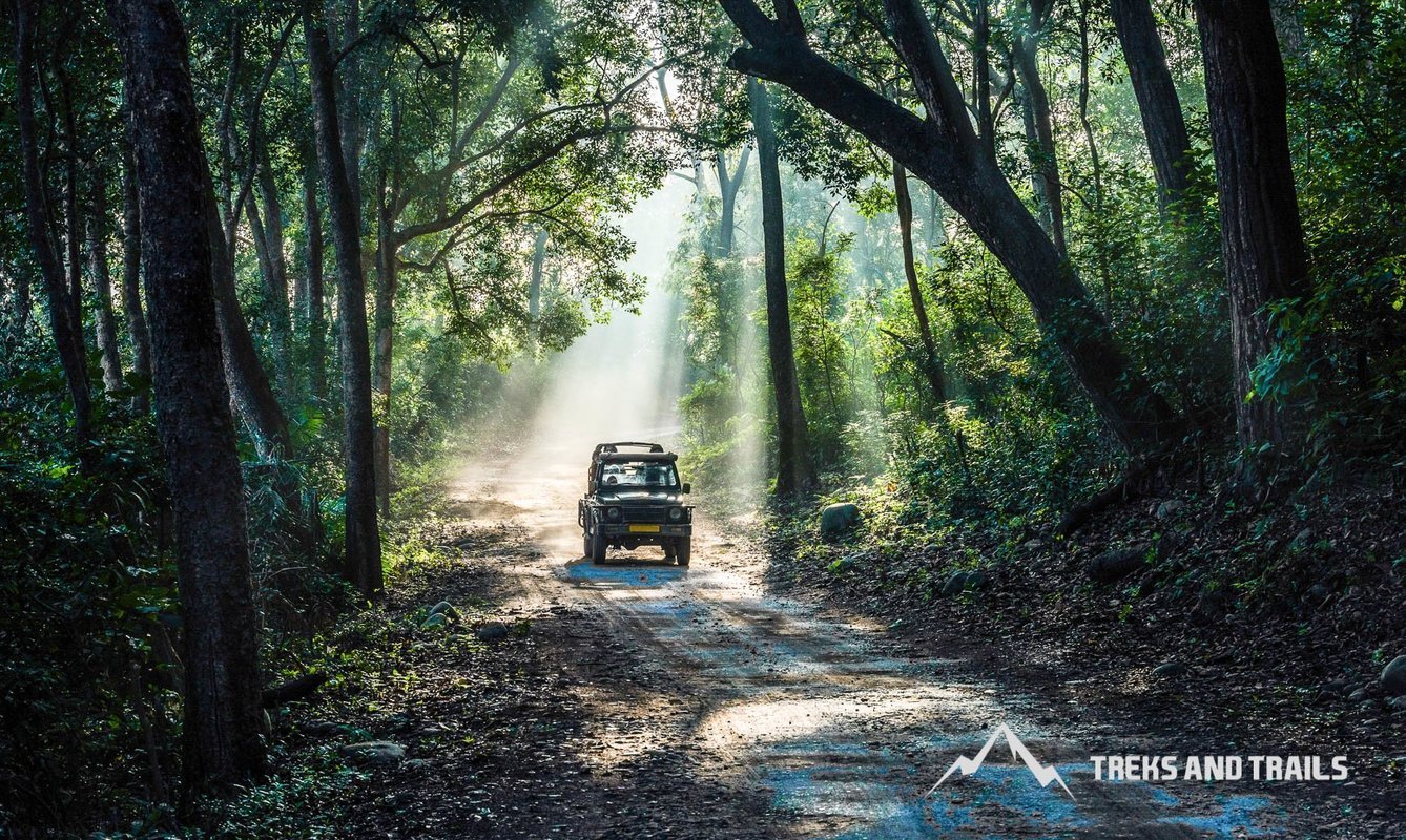 Jim Corbett National Park