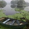 Bharatpur Waterboat