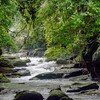 Shillong 
