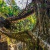 Meghalaya Tour