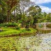 Meghalaya Tour