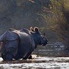 Bardia National Park