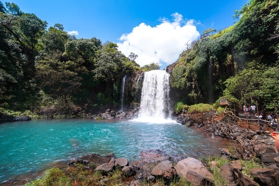 Kaas Plateau Tour 2025 from Pune and Thoseghar Waterfall - Tour