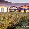 Sula Vineyards