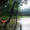Sakleshpur Camping